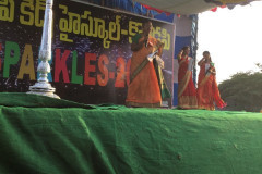 2018-Annual-Day-9